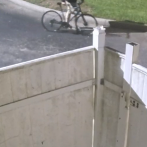 2019 Liv Alight Disc 2 Green and Blue