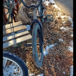 Subrosa Silver, gray or bare metal