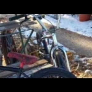 1980 Dyno Collectors Silver, gray or bare metal