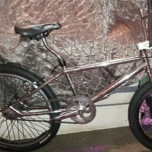 1980 Dyno Collectors Silver, gray or bare metal