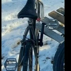 1980 Dyno GT Black, Silver, gray or bare metal, and Red