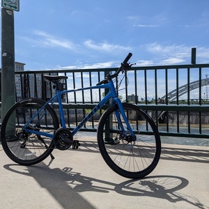 2021 Giant Escape 3 Disk Blue
