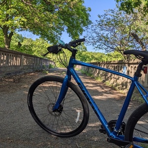 2021 Giant Escape 3 Disk Blue