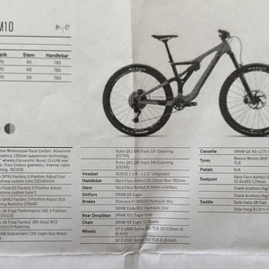 2019 Orbea Rallon M10 Green and Pink