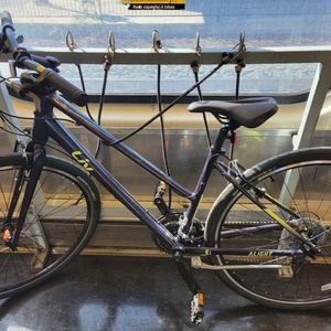 2022 Liv Blue and Green