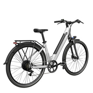 2024 Fiido C11 City Bike White