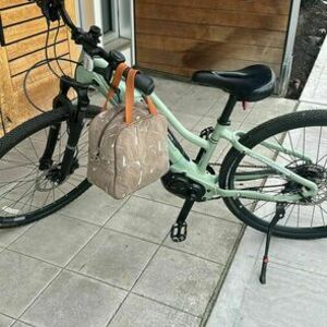 2025 Liv Rove E+ Green