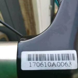 2025 Cannondale Cujo 3 Yellow or Gold