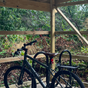 Norco Bikes Indie Silver, gray or bare metal