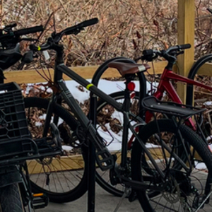 Norco Bikes Indie Silver, gray or bare metal