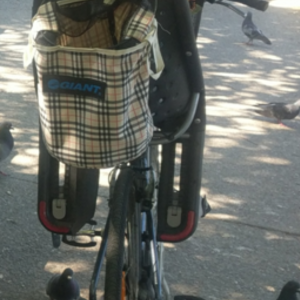 Peugeot unsure -- city bike style Blue