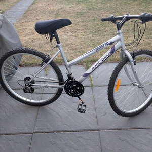 Supercycle SC 1800 Silver, gray or bare metal and Purple