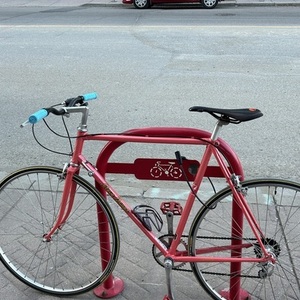 Steve Bauer Cycles Bertrand Pink