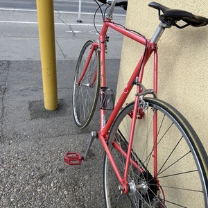 Steve Bauer Cycles Bertrand Pink