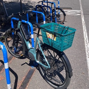 Gazelle Medeo T9 Green