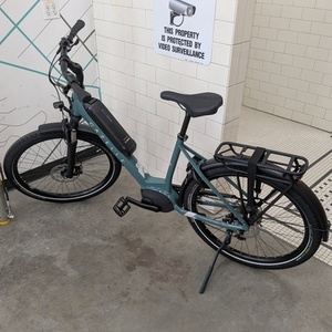 Gazelle Medeo T9 Green