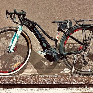 2021 Giant ROAM E+ STD Black and Black