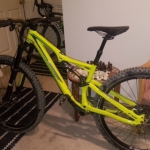 2016 Specialized Stumpjumper Green and Green