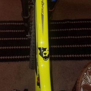 2016 Specialized Stumpjumper Green and Green