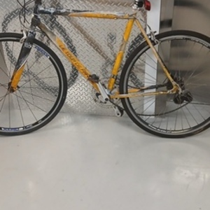 Tour de France Legacy Yellow or Gold