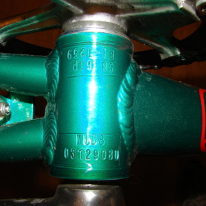 2009 Specialized Langster Seattle Green