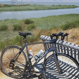 2016 Fuji Silver or Gray