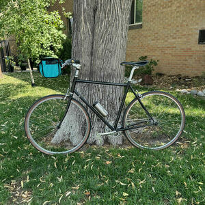 2010 Salsa Casseroll Black