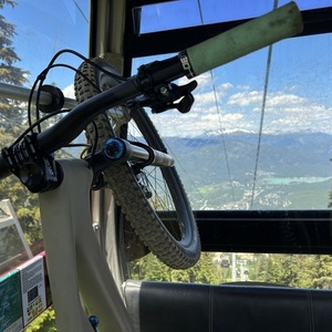 2020 Specialized 2020 Specialized Stumpjumper Pemberto... Silver, gray or bare metal