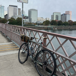 2011 Cielo Cross Classic Green