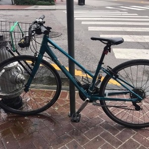 Giant Liv Alight Blue