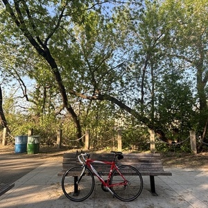 2004 Specialized S-Works E5 Road Red