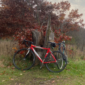 2004 Specialized S-Works E5 Road Red