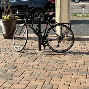 2019 All City Mr. Pink Black