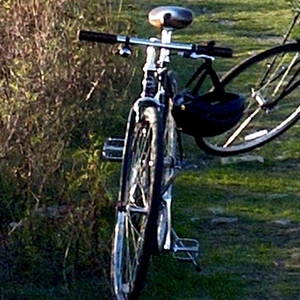 2016 Linus Roadster Black