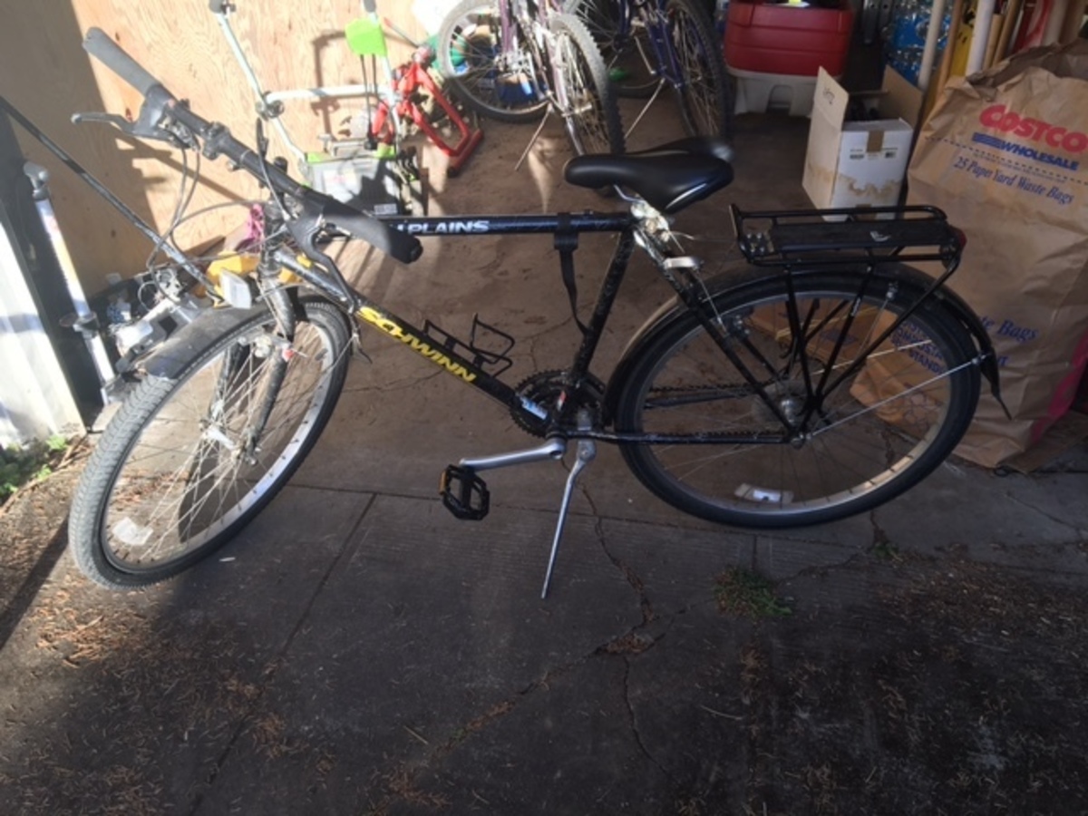 schwinn pioneer bike