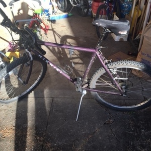 1992 Nishiki Purple