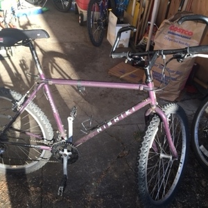 1992 Nishiki Purple