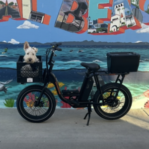 Rad Power Bikes Rad Runner 1 Black and Orange