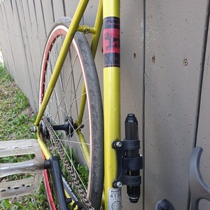 Brodie Remus Yellow or Gold