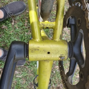 Brodie Remus Yellow or Gold