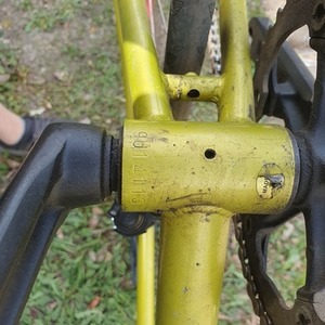 Brodie Remus Yellow or Gold