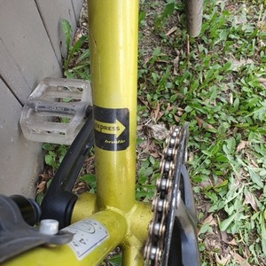 Brodie Remus Yellow or Gold