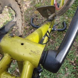 Brodie Remus Yellow or Gold