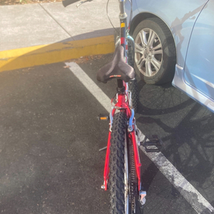 2001 Giant SE Rincon Red