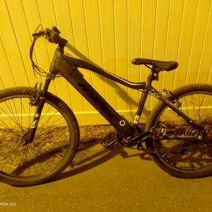 Hyper E-ride mountain Silver, gray or bare metal and Green