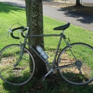1987 Trek 520  Black