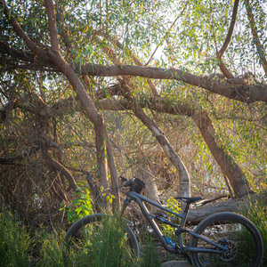 2022 Specialized Status 160 Silver, gray or bare metal and Blue