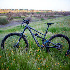 2022 Specialized Status 160 Silver, gray or bare metal and Blue
