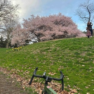 2025 Ozark Trail G1 Explorer Green