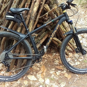 2017 Salsa Timberjack Black